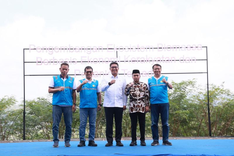 Terus Kembangkan Bahan Co-Firing Biomassa, PLN Bersama Kementan Luncurkan Model Pertanian Terpadu